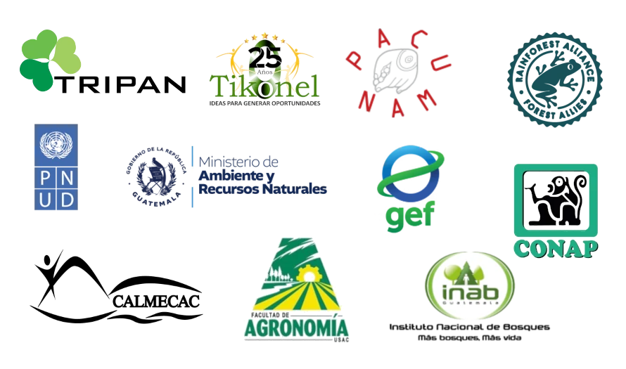 Ministerio de Ambiente